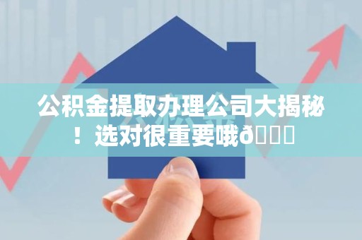 龙文公积金提取办理公司大揭秘！选对很重要哦😎