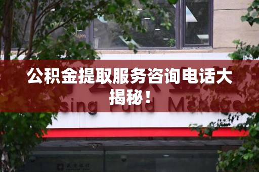 龙文公积金提取服务咨询电话大揭秘！